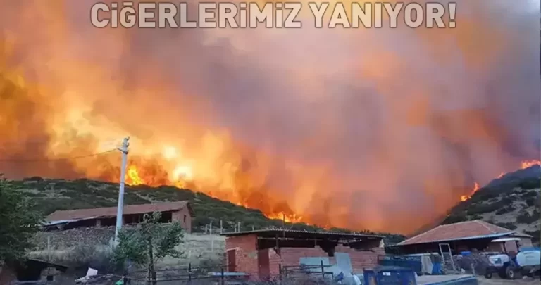 manisa yangın