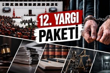12 yargı