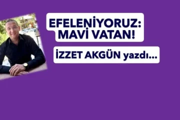 WhatsApp-Image-2026-05-17-at-22.54.33-787×443