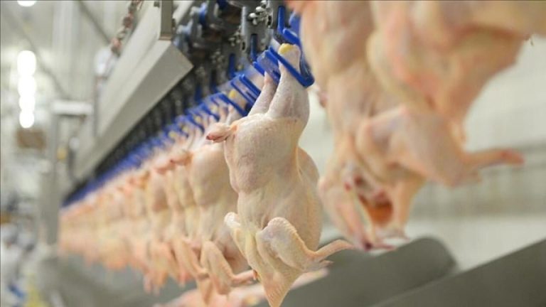 ‘Beyaz et’ soruşturmasında yeni gelişme: 29 kişiye adli kontrol