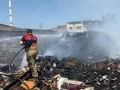 AA
