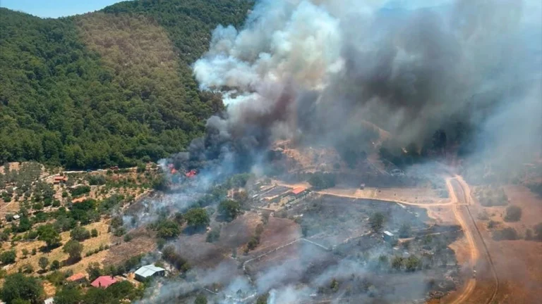 Fethiye’de orman yangını paniği! Ekipler havadan ve karadan seferber oldu