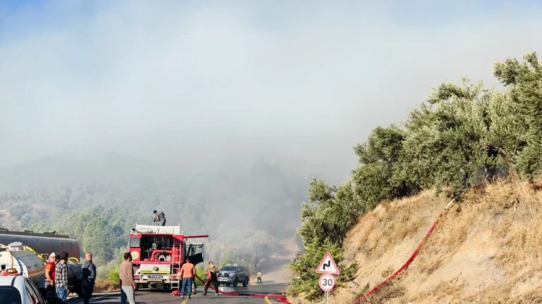 Balıkesir’den İzmir’e uzanan yangın alarmı