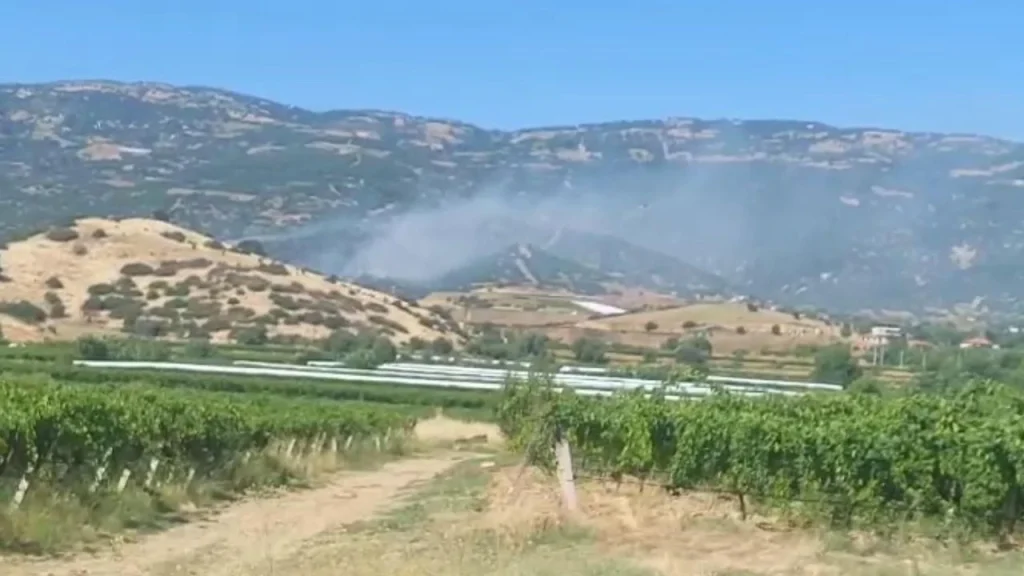 Manisa Sarıgöl’de Maki Yangını Ormanlık Alana Sıçradı