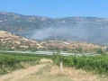 manisa yangın