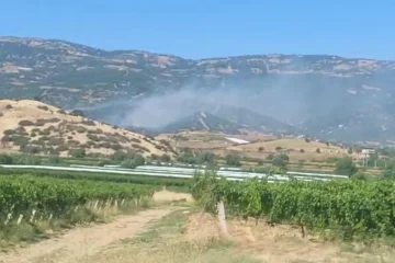 manisa yangın