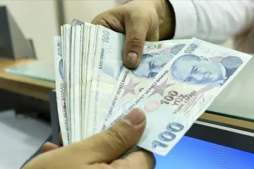 paraliratürklirası-803146