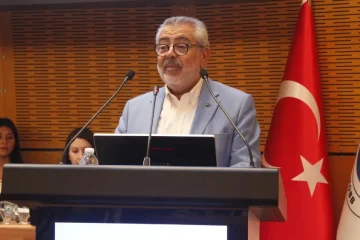 nedim ambar