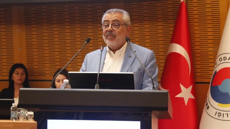 nedim ambar