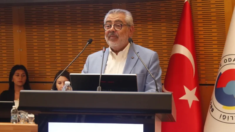nedim ambar
