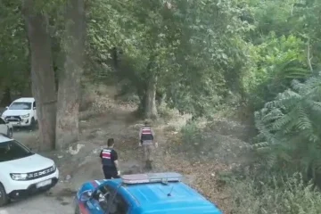 thumbs_b_c_397157080150869f545b007574287e9b