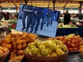 gida-operasyon
